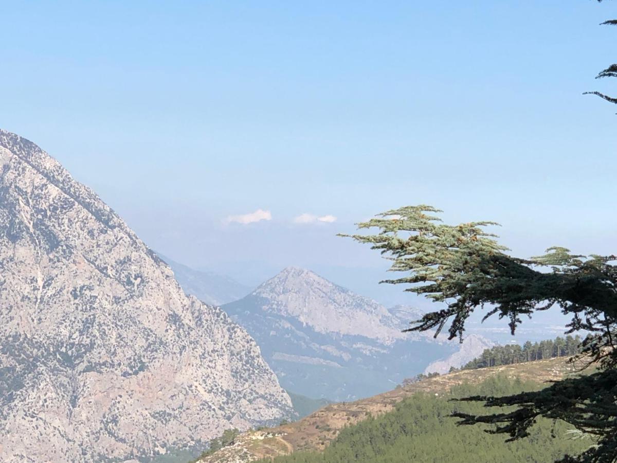 Yenivadi Villa Antalya Bagian luar foto