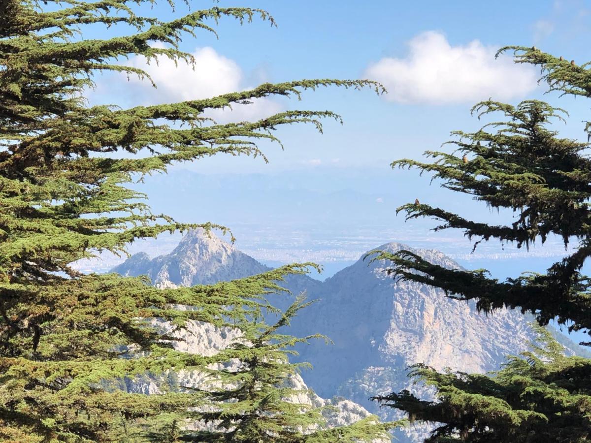 Yenivadi Villa Antalya Bagian luar foto